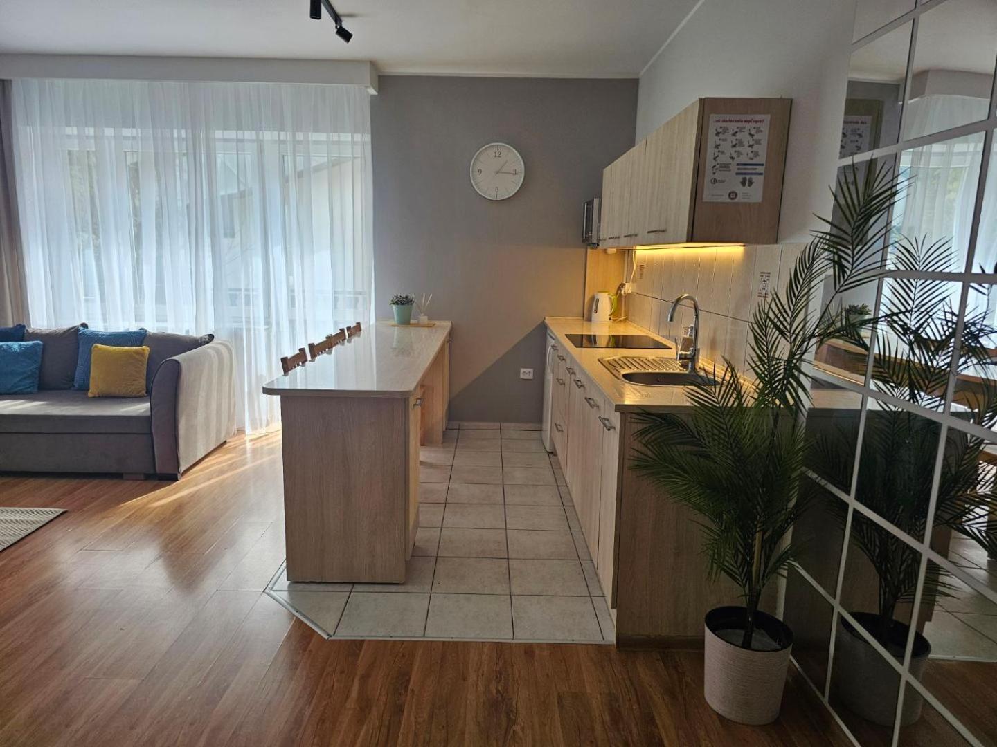 Apartament Rema W Centrum Apartzakop Закопане Экстерьер фото