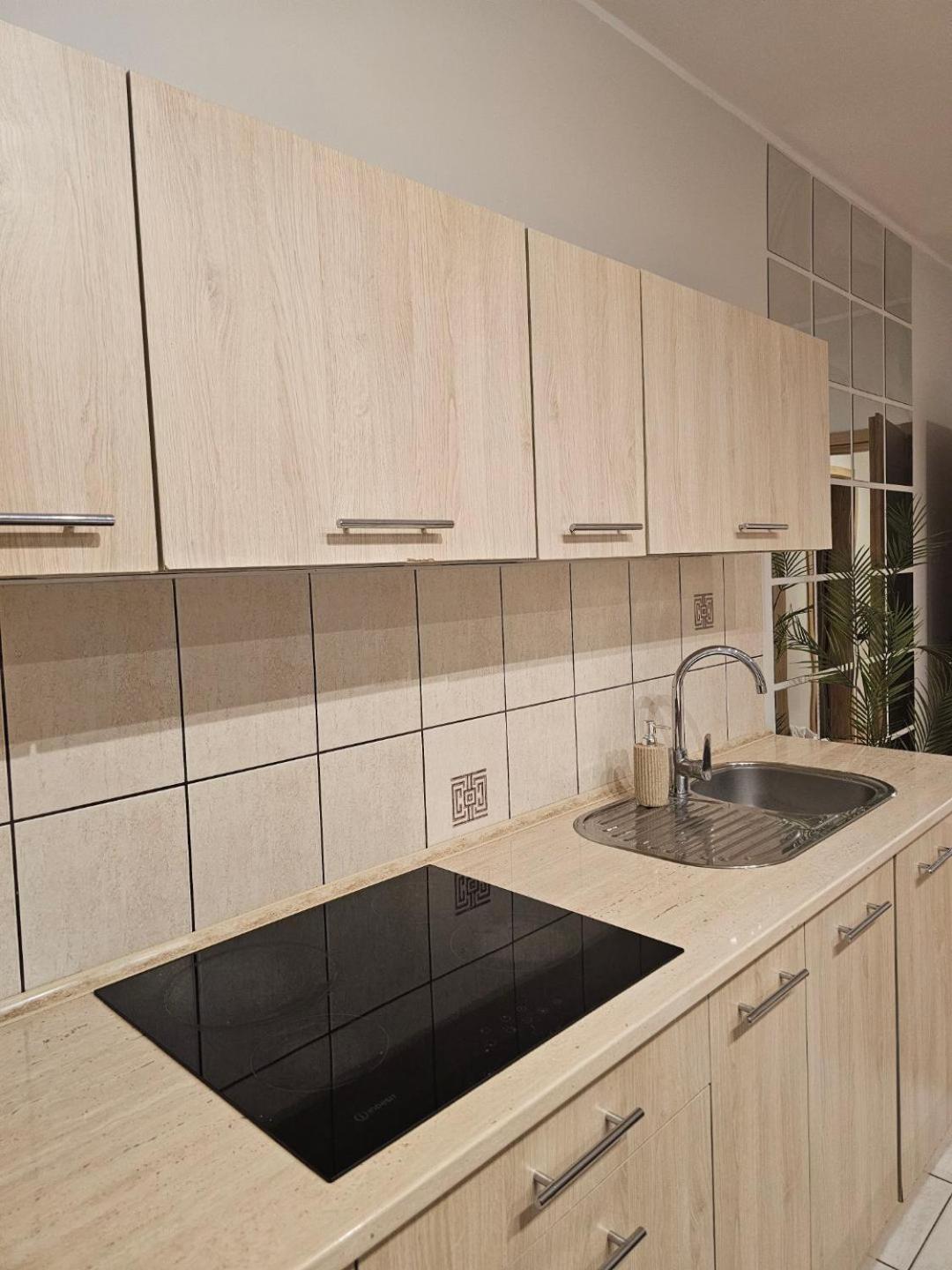 Apartament Rema W Centrum Apartzakop Закопане Экстерьер фото