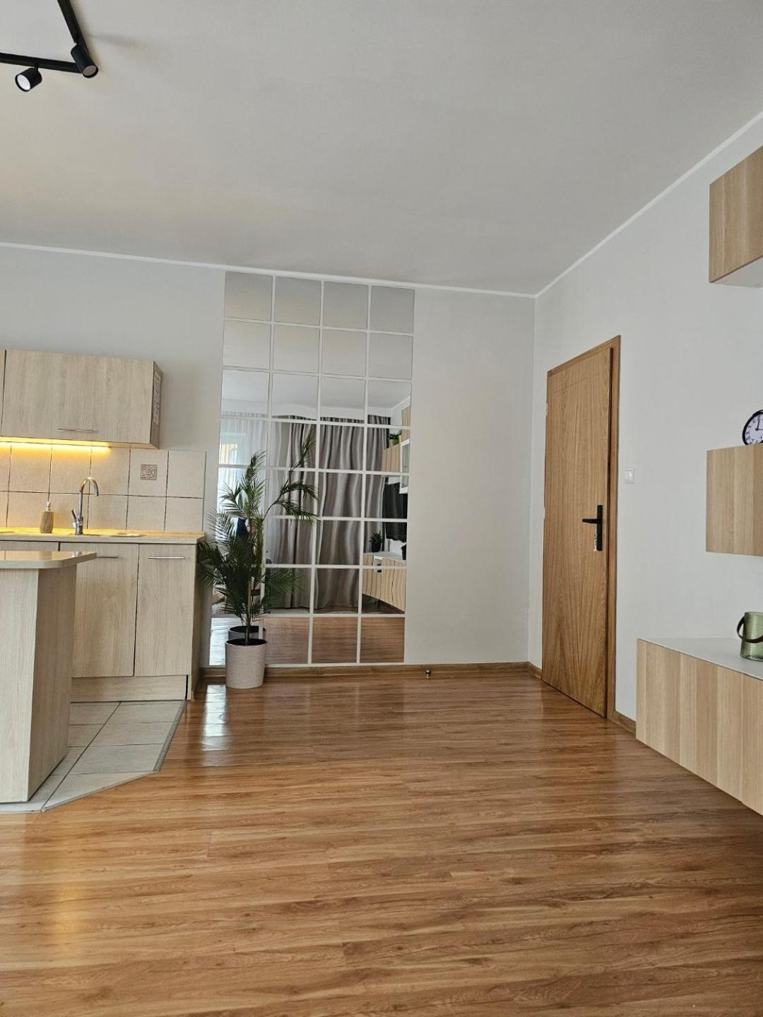 Apartament Rema W Centrum Apartzakop Закопане Экстерьер фото